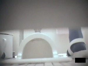 Exciting Toilet Spy Cam Shots Of Amateur Bushy Slits